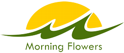Morning Flowers