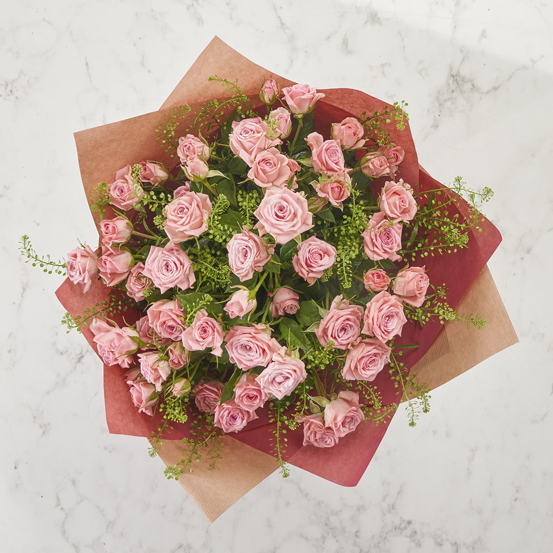 Pink Spray Roses