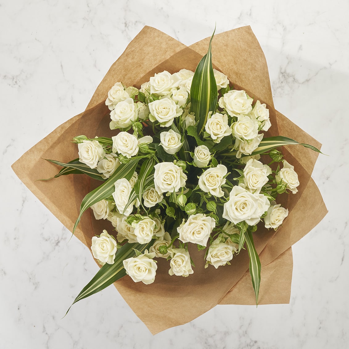 Spray White Rose